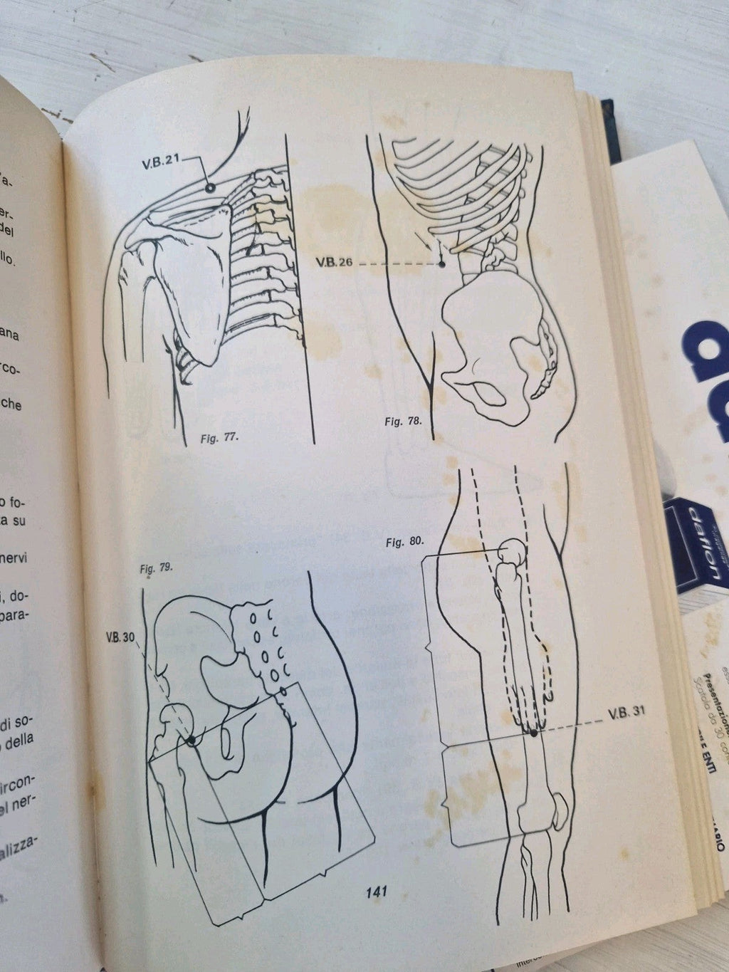 Image #7