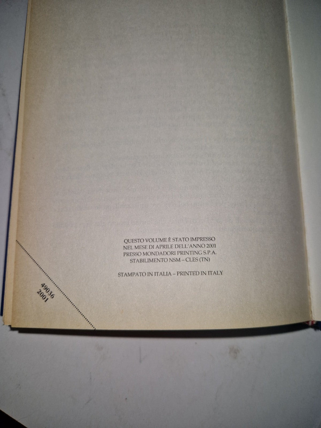 Image #12