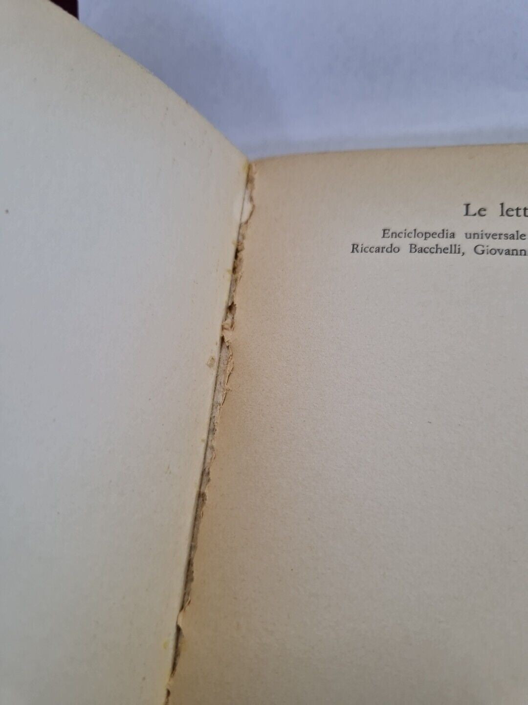 Image #6