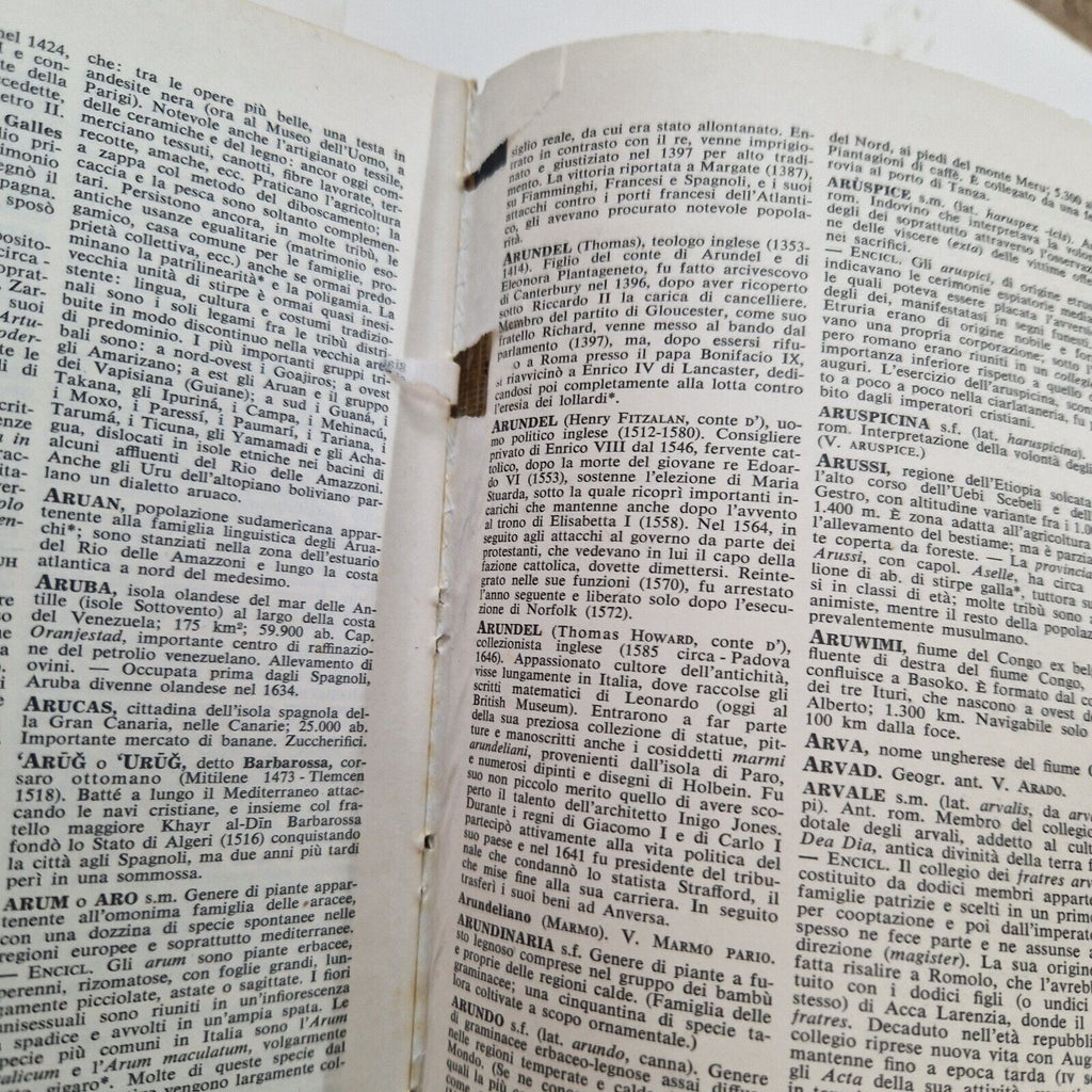 Image #8