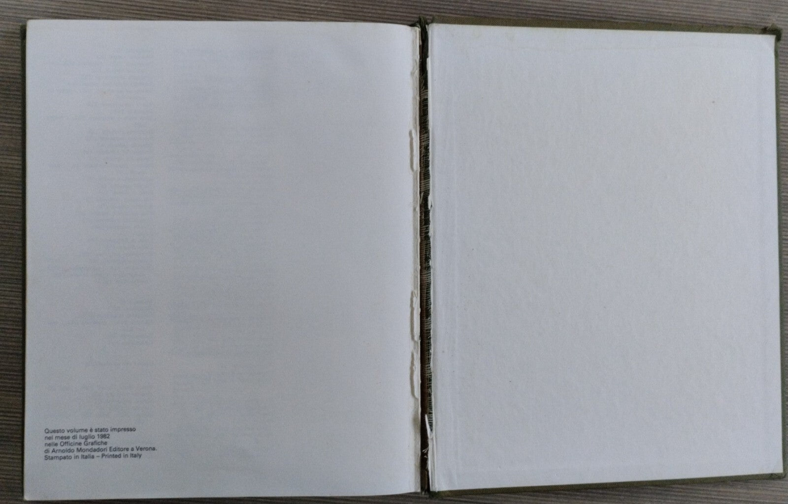 Image #8