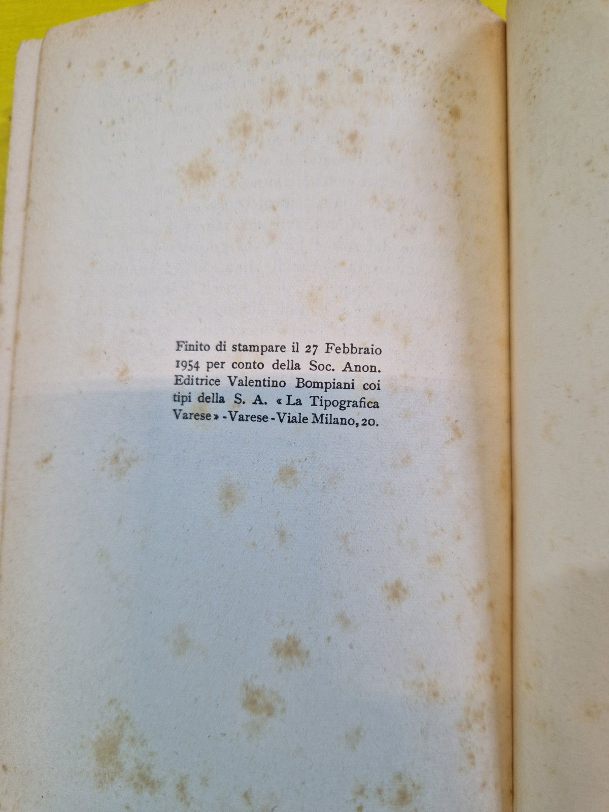 Image #8