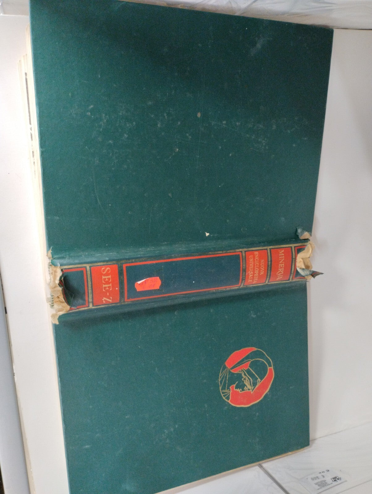 Image #2