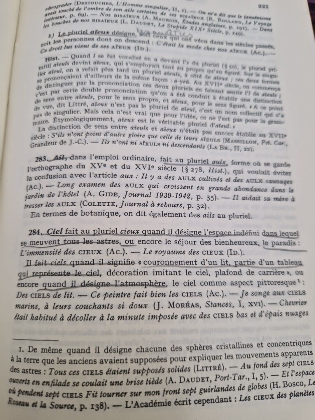 Image #12