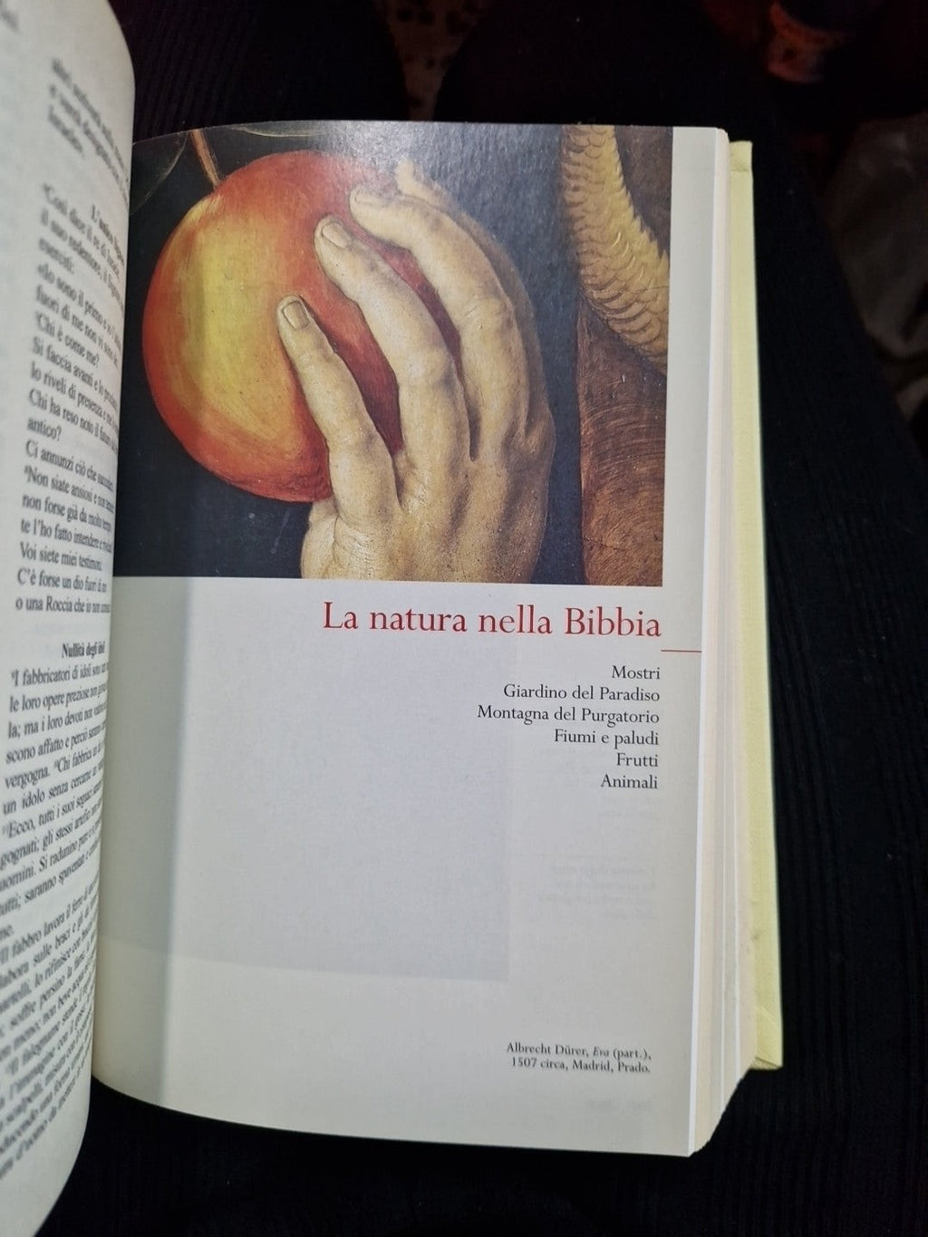 Image #11