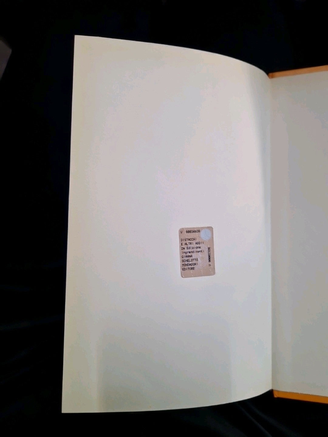 Image #5