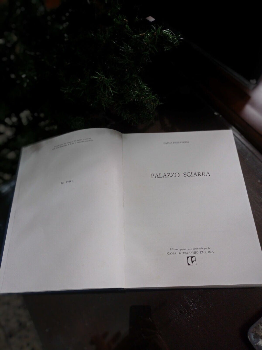 Image #5