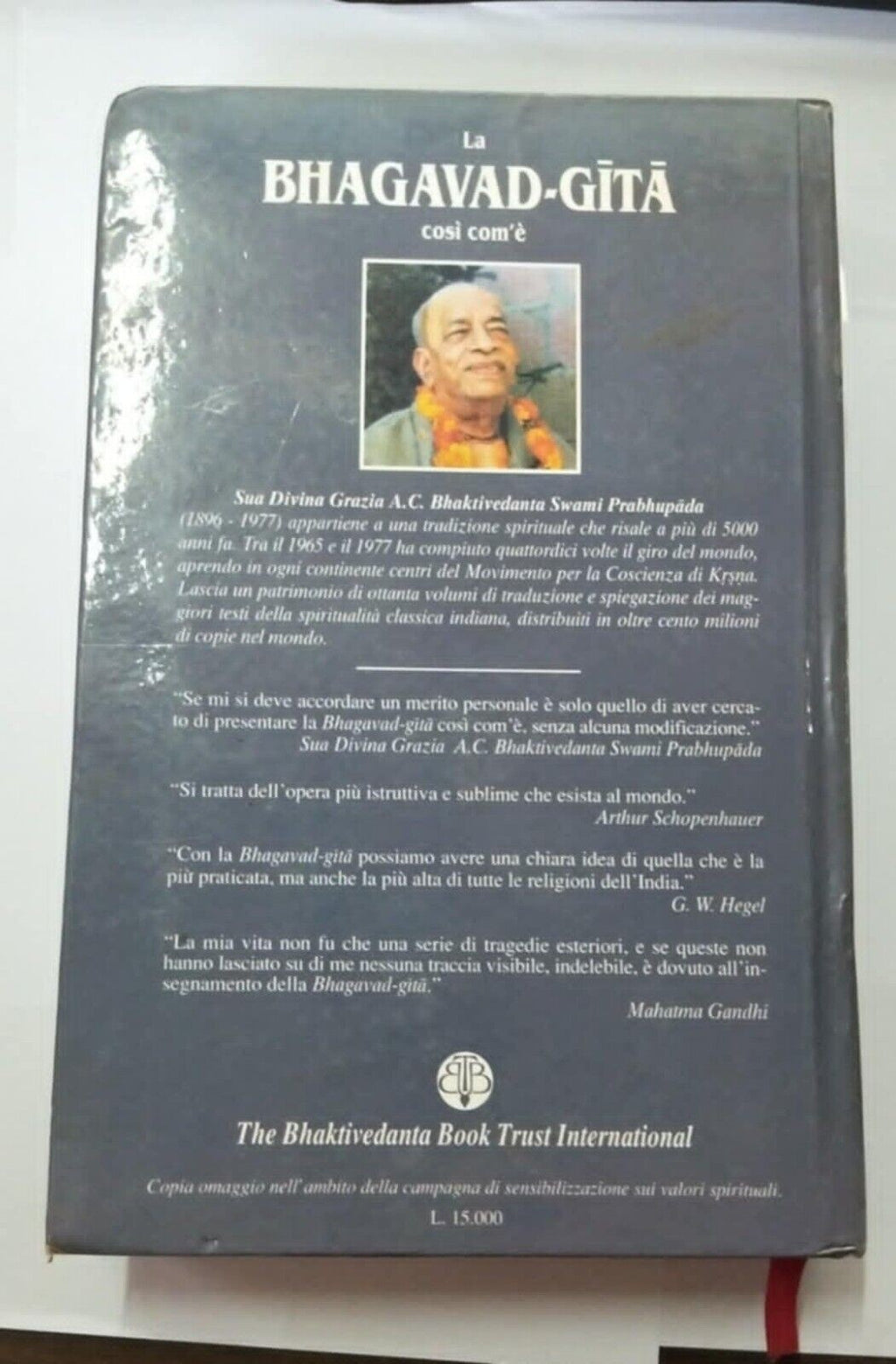 Image #2
