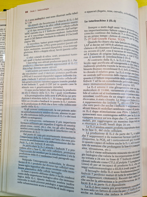 Image #9