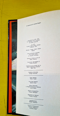 Image #12