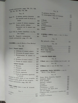 Image #9
