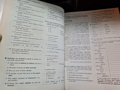 Image #12