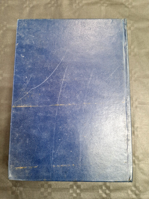 Image #6