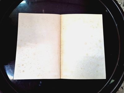 Image #7