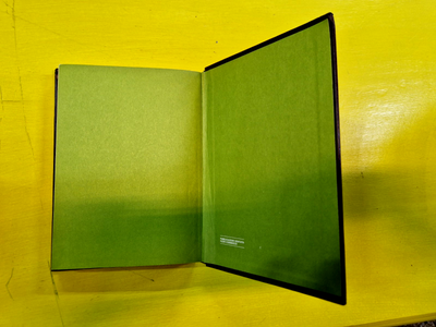 Image #9
