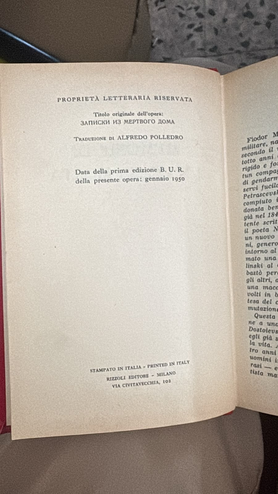 Image #9