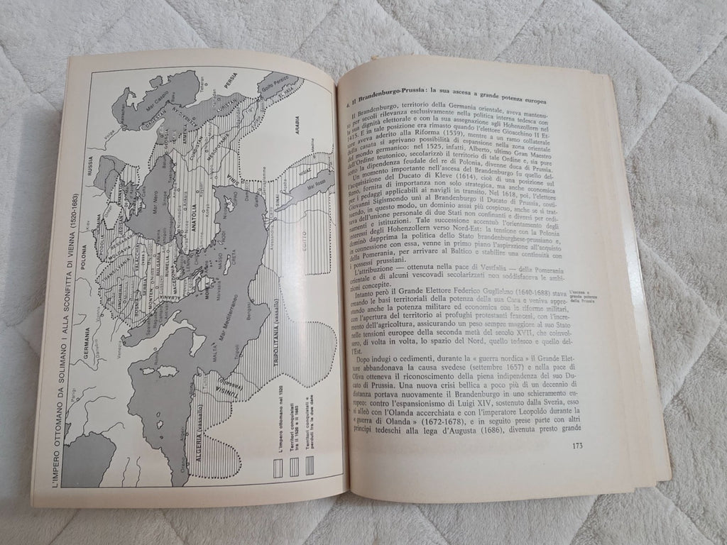 Image #11