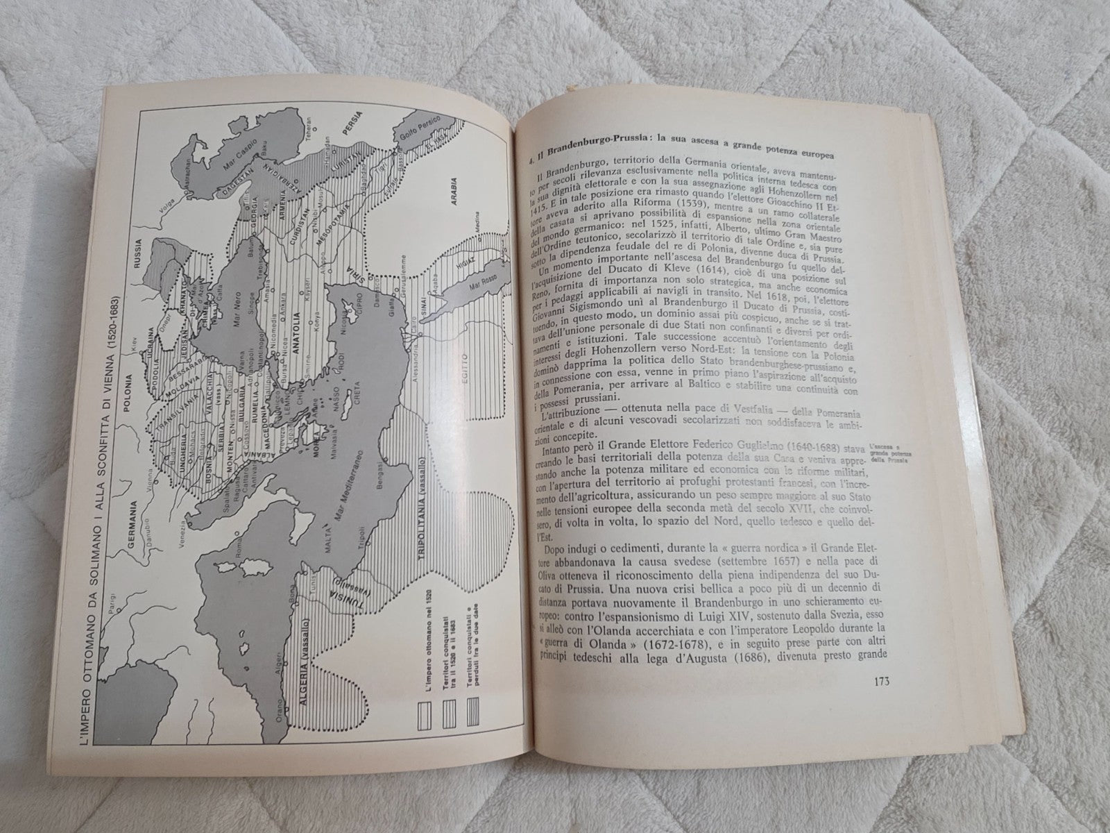 Image #11