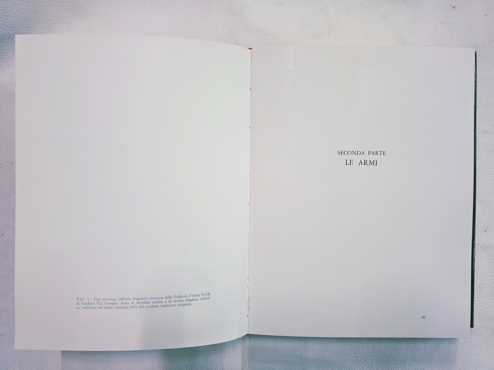 Image #14