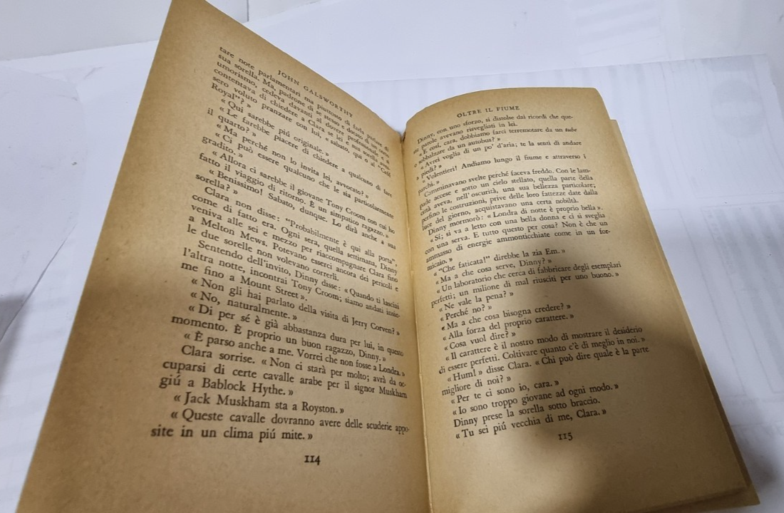 Image #8