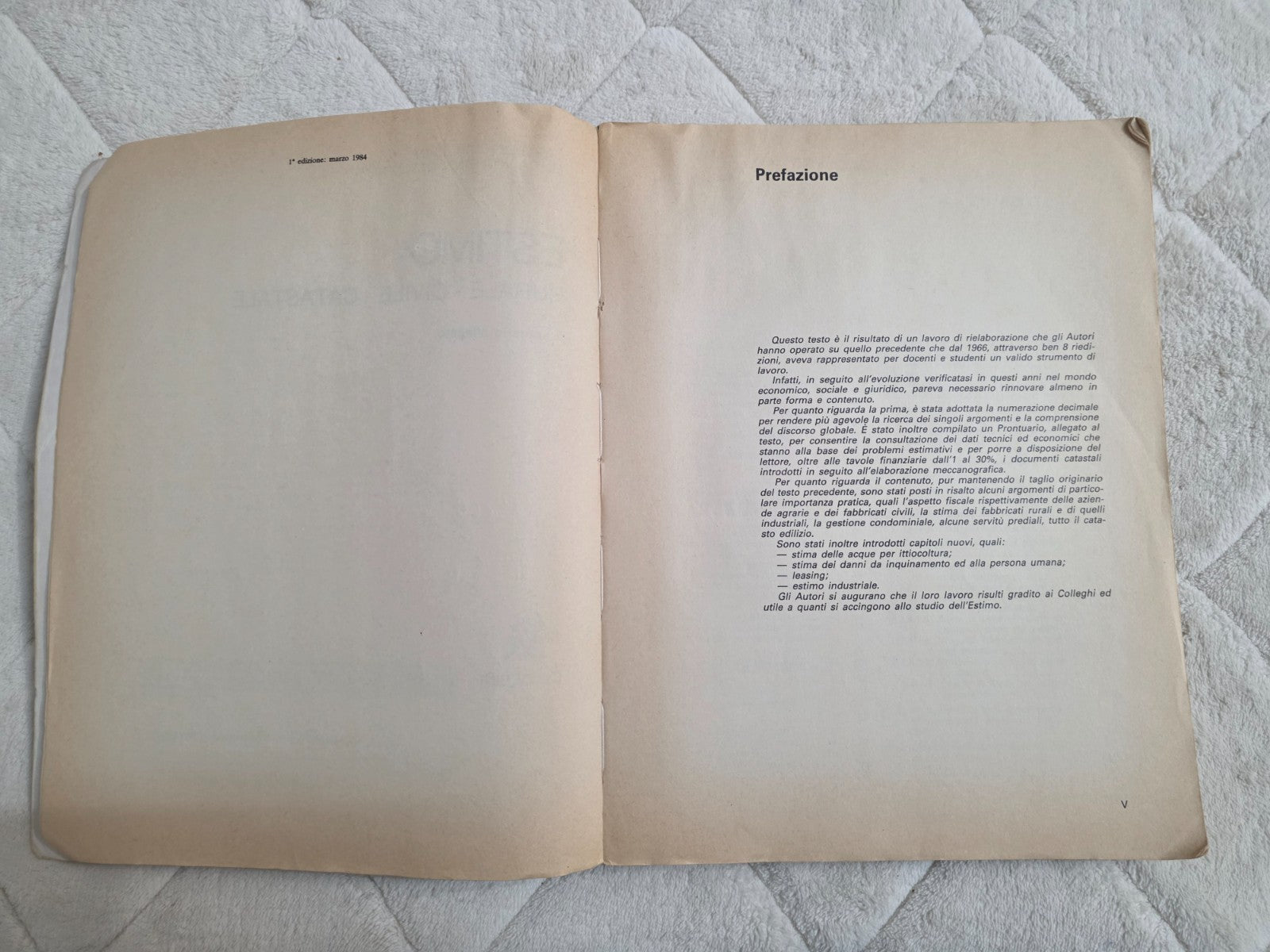 Image #11
