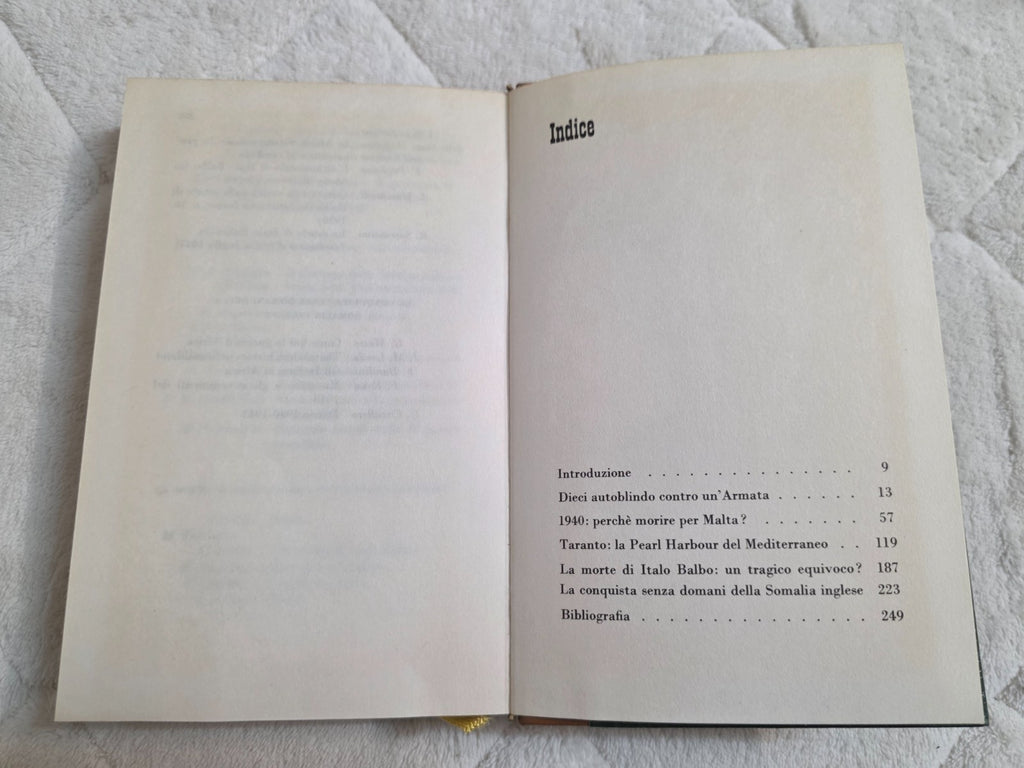 Image #10