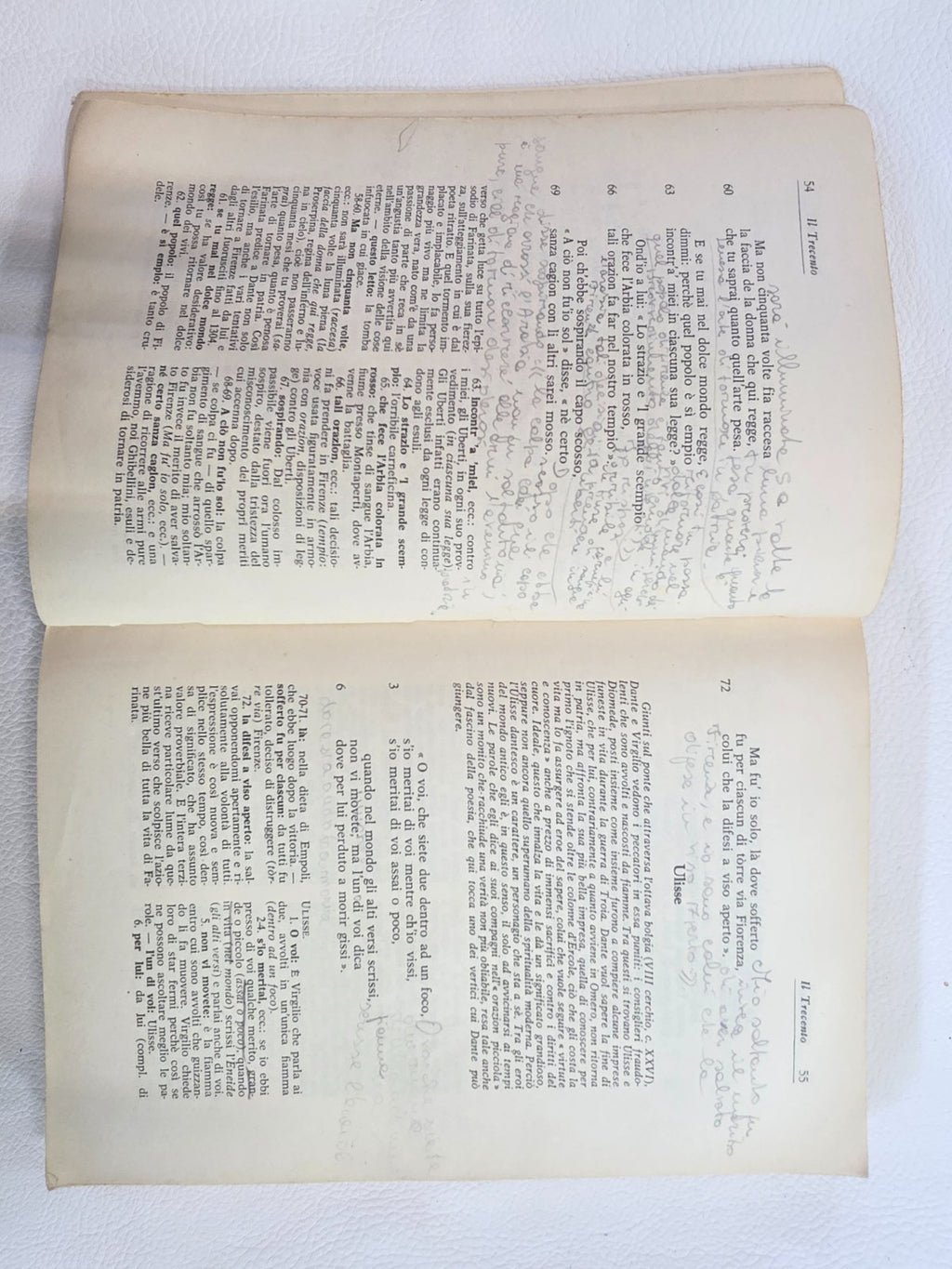 Image #7