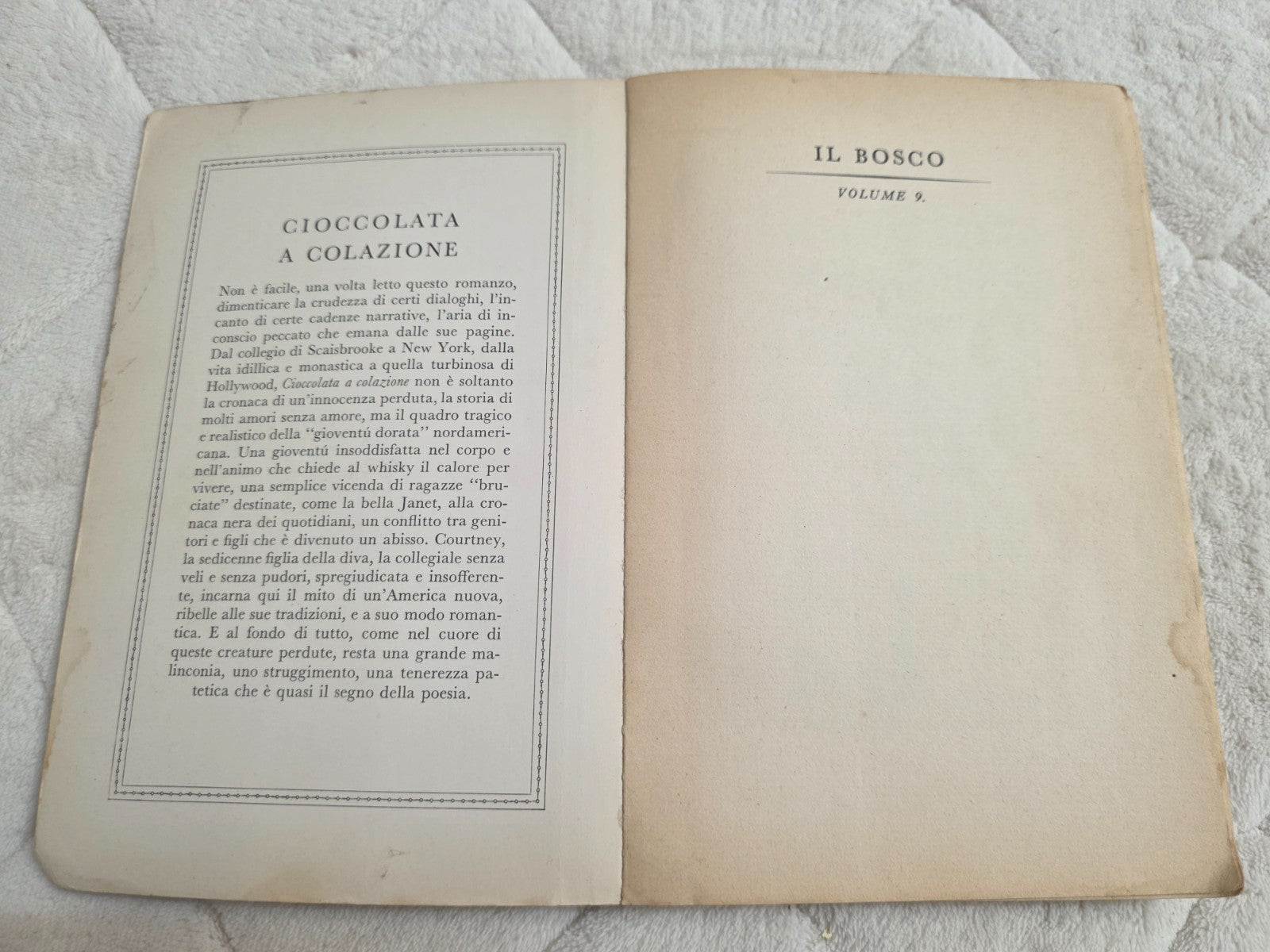 Image #7