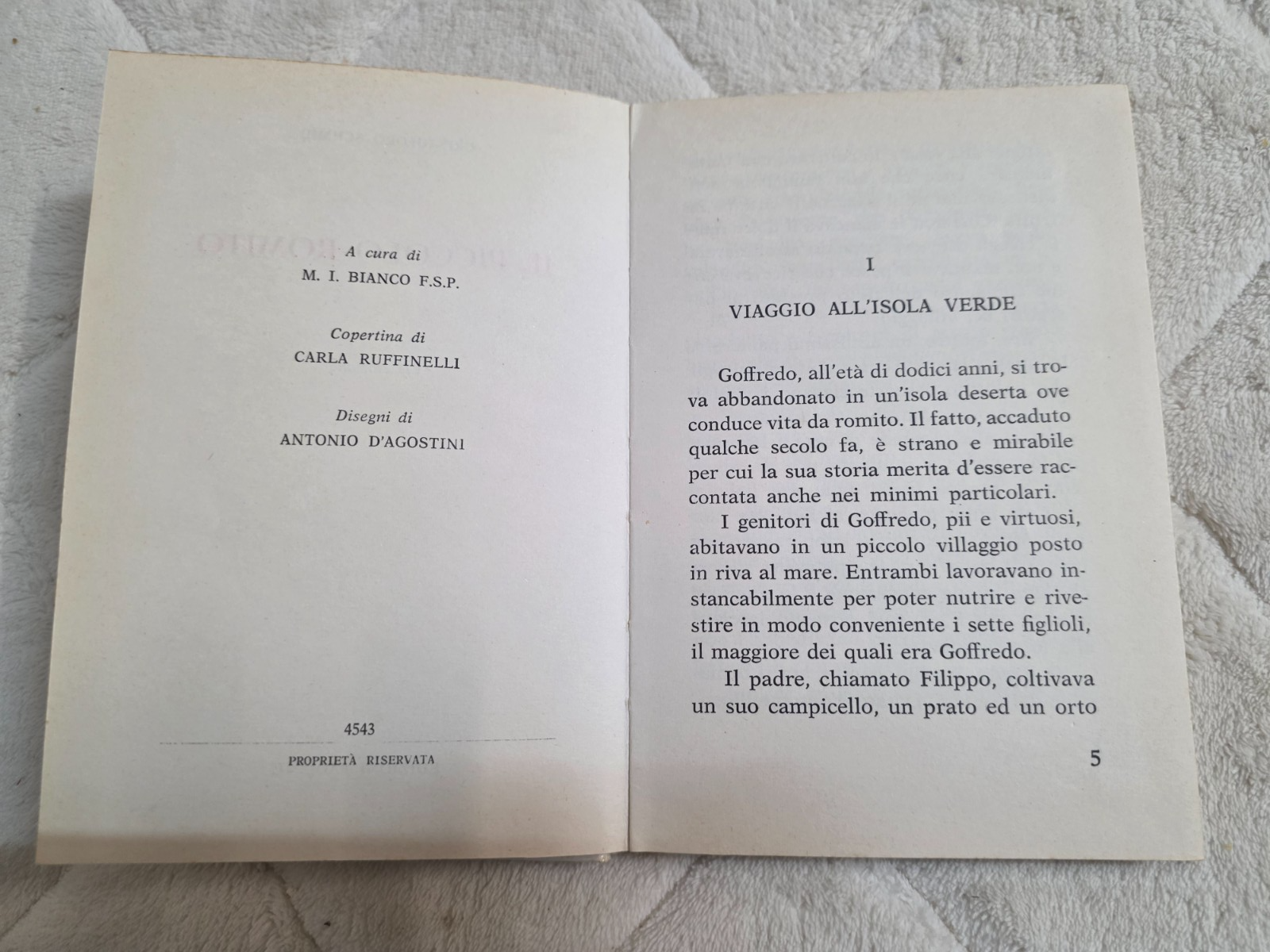 Image #11