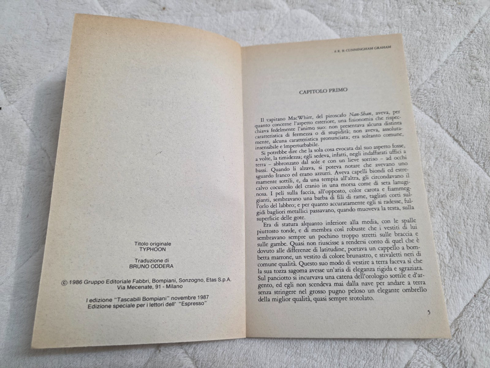 Image #11
