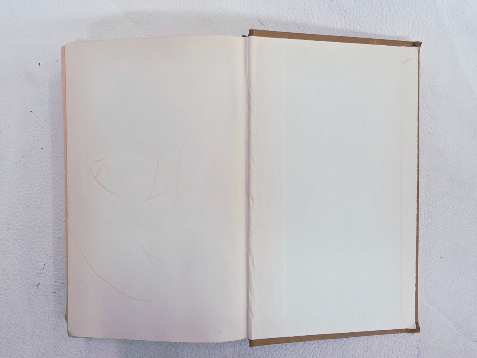 Image #10
