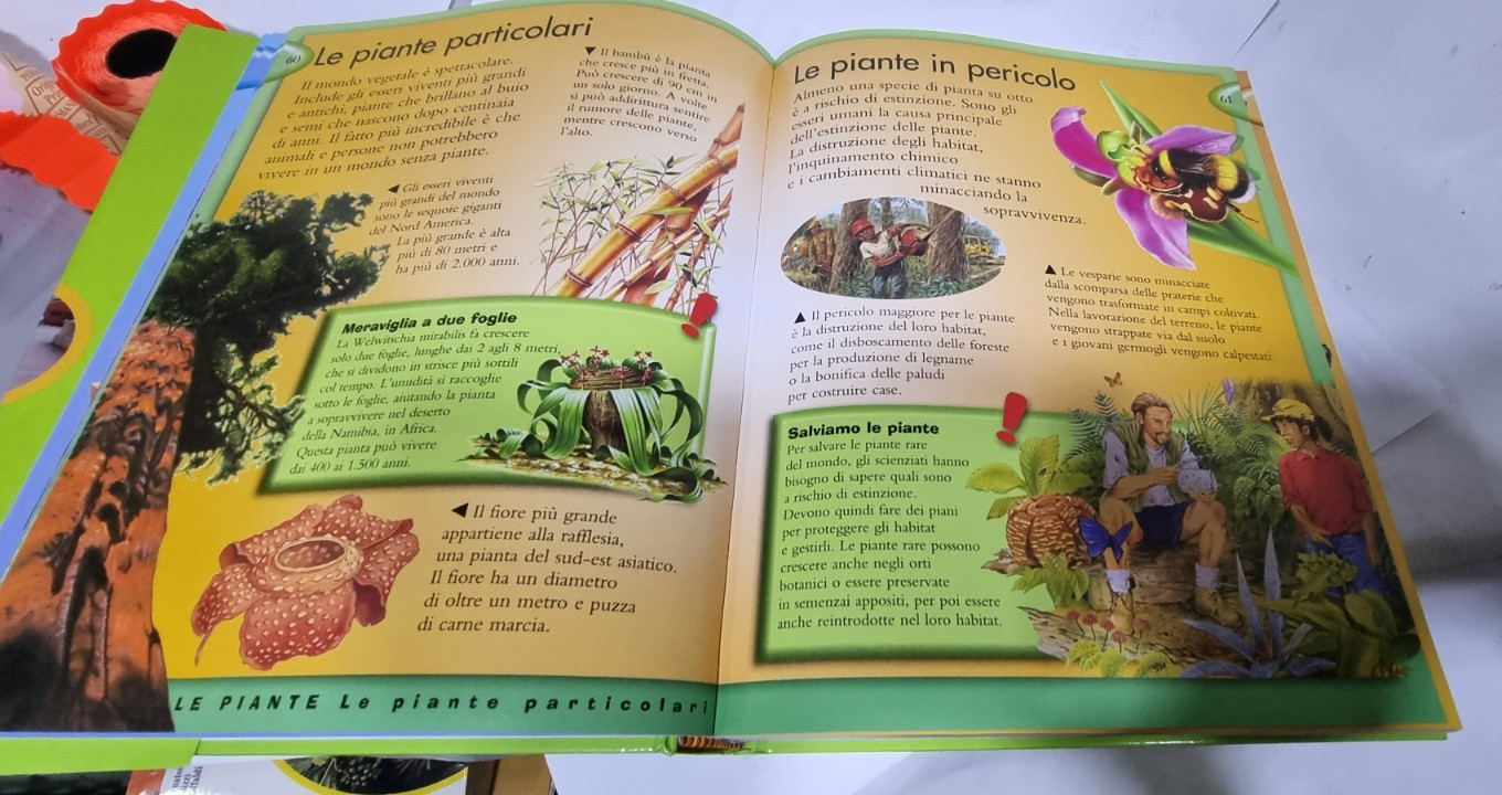 Image #7