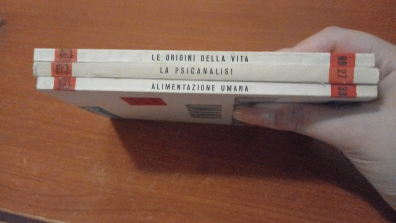 Image #6
