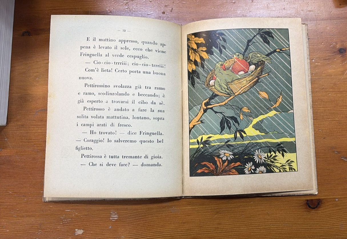 Image #3
