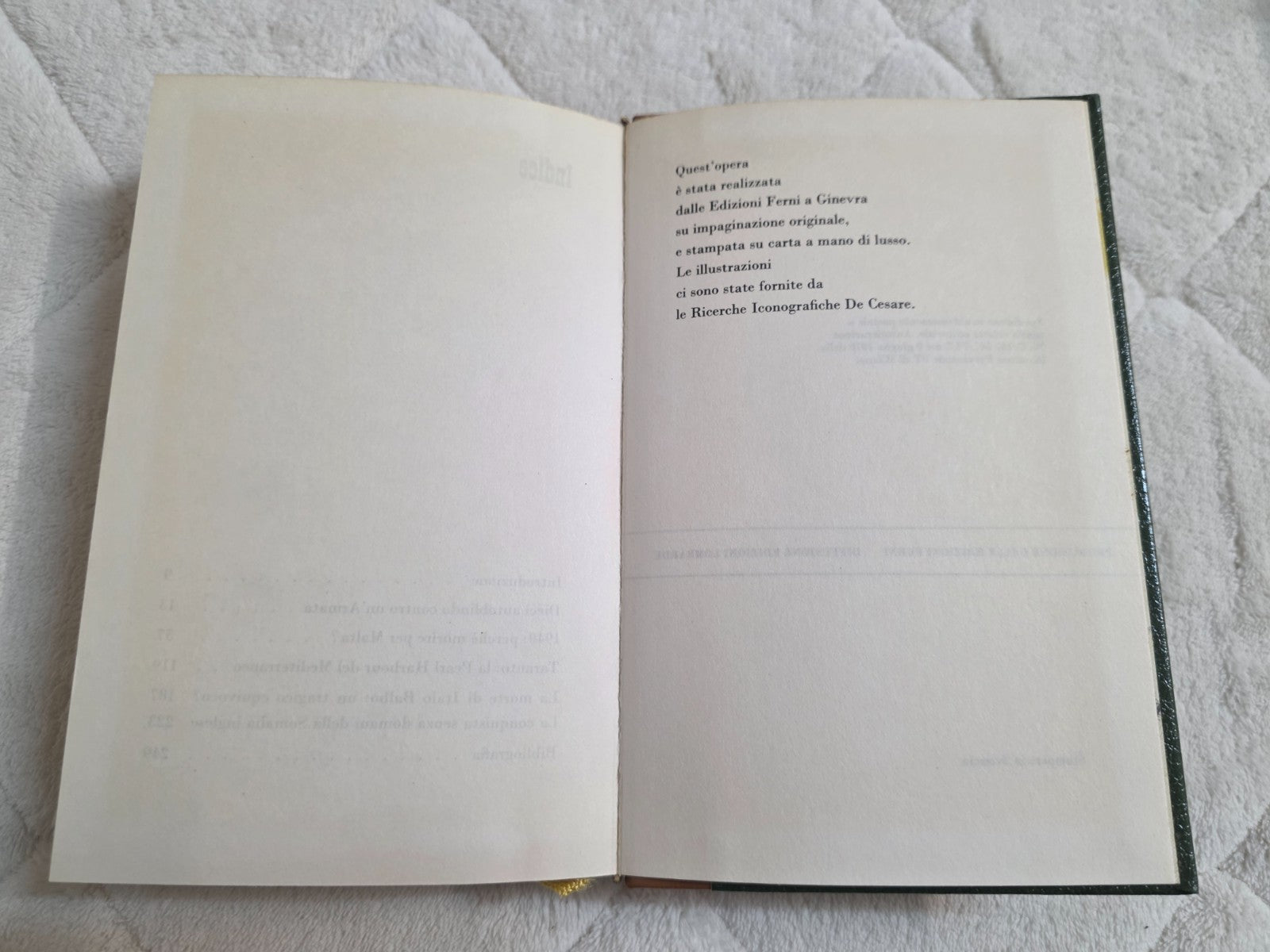 Image #11