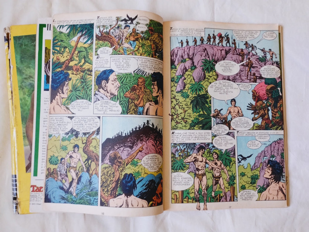 Image #8