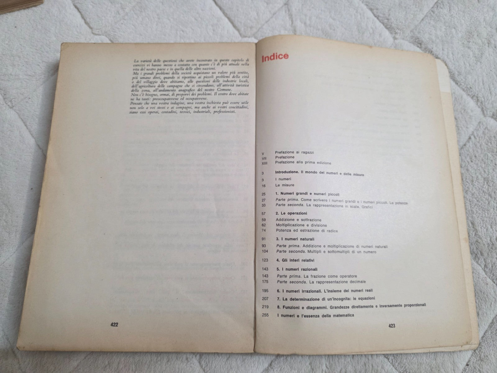 Image #12