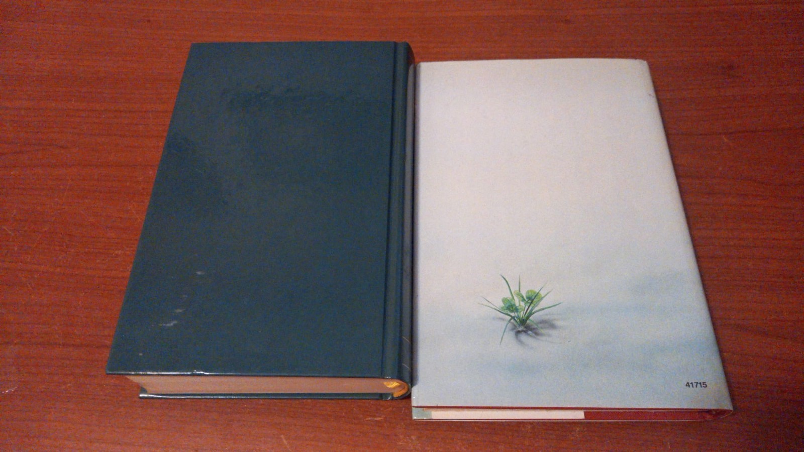 Image #4