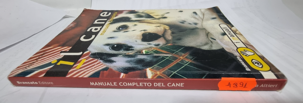 Image #5