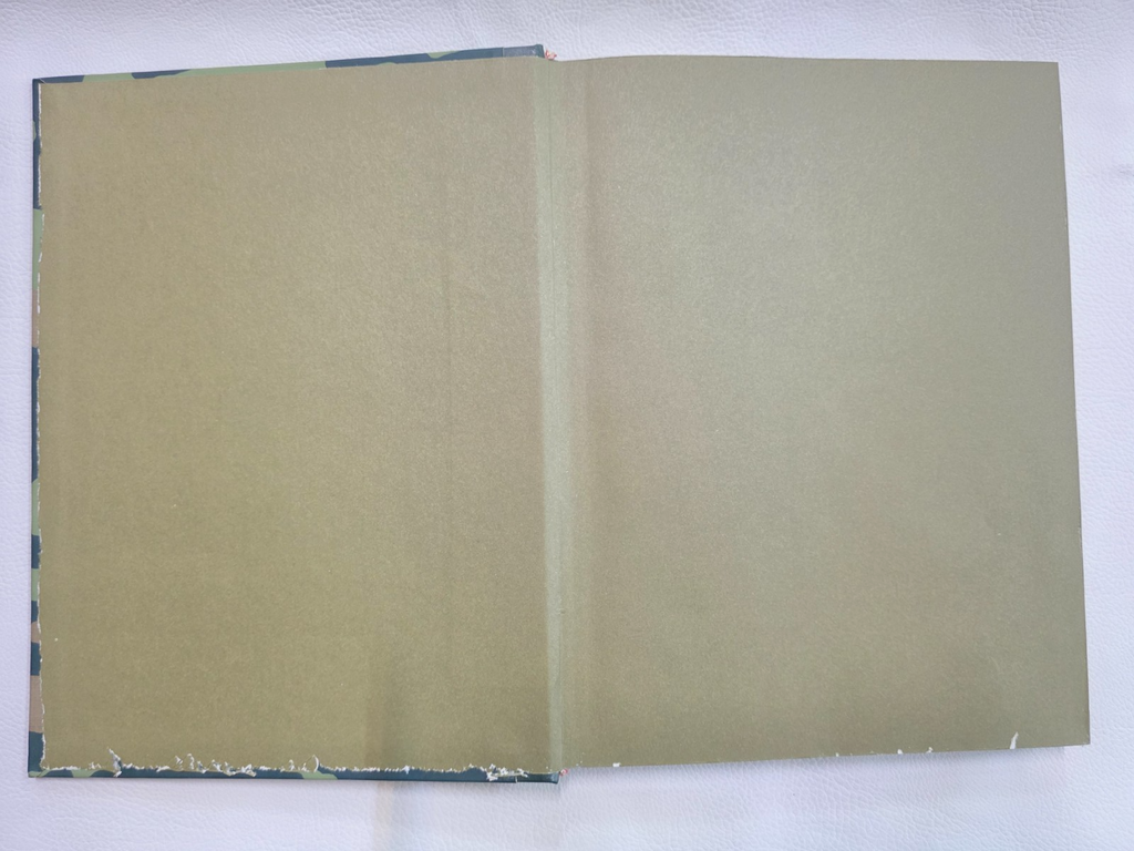 "I Piloti dell'Elite" di Peter Young libro-Volume secondo, edizione italiana