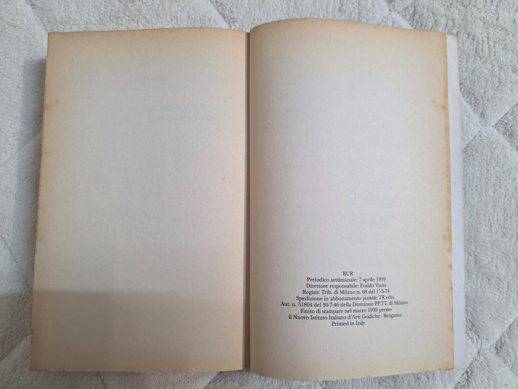 Image #10