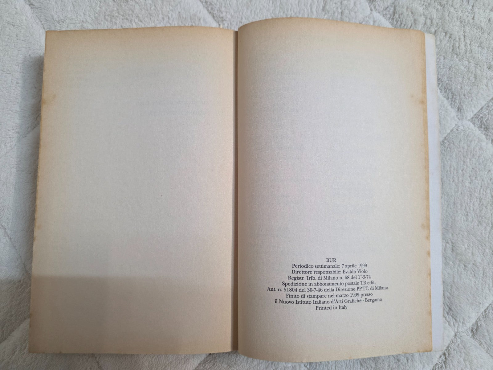 Image #10