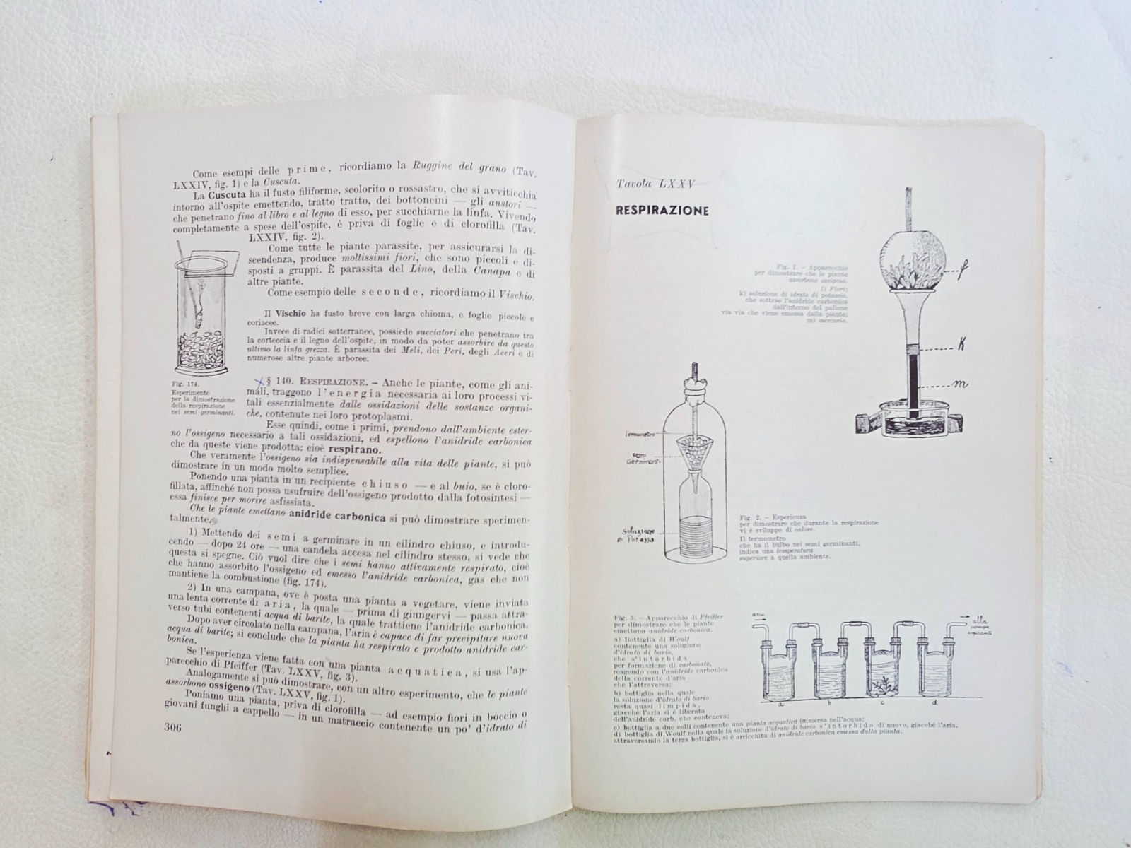 "Corso di Biologia" M. Cori Cappelli Editore Vintage Libro Scolastico