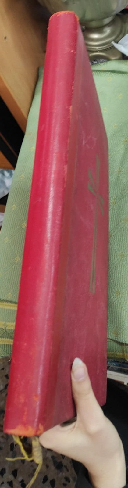 Image #5