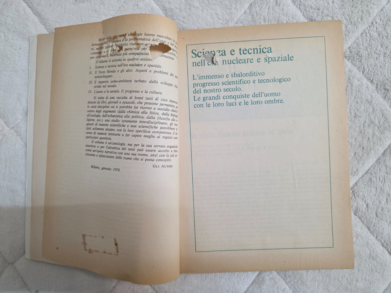Image #13