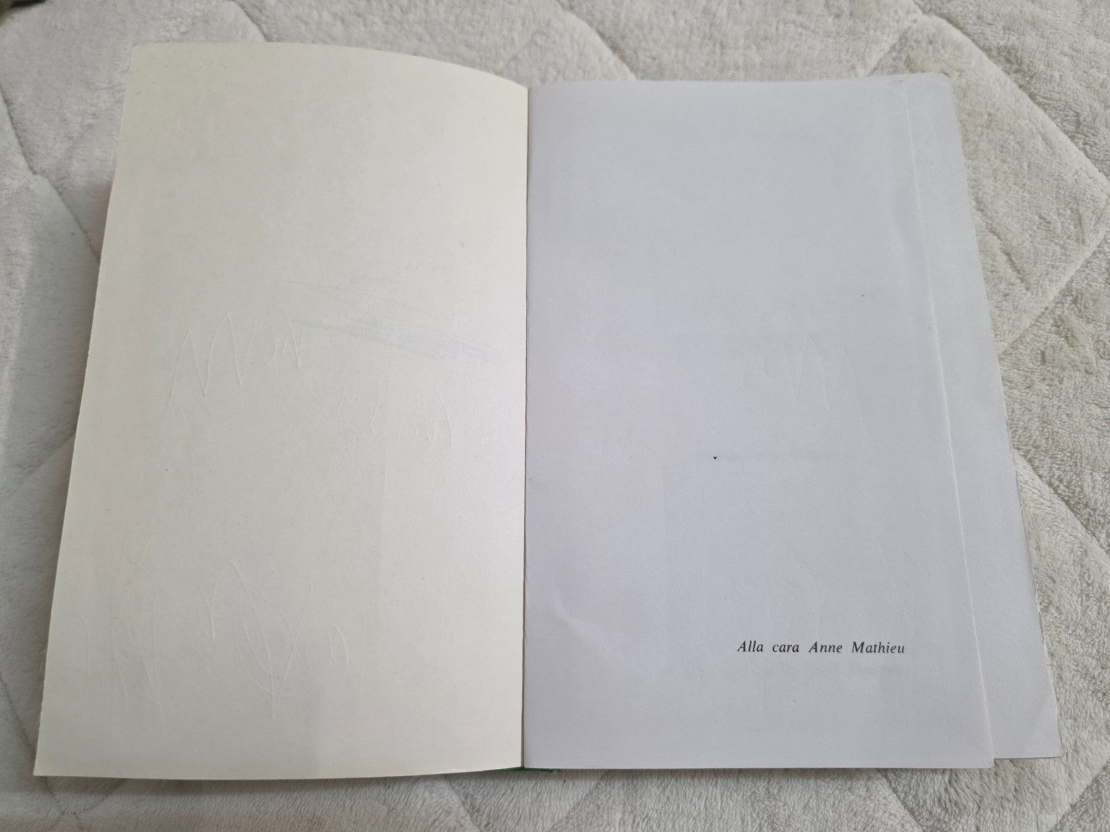 Image #12