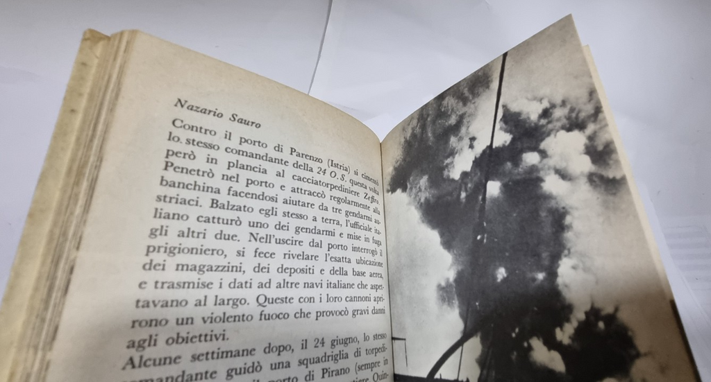 Image #8