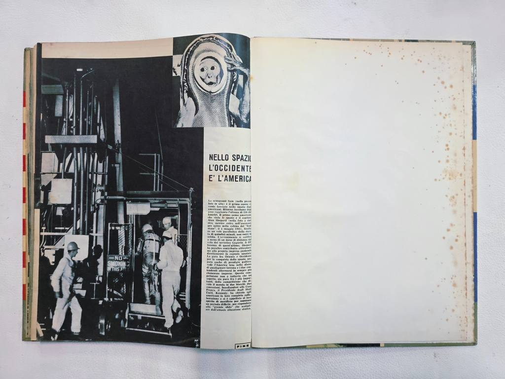 Image #13