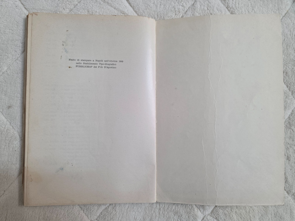 Image #11