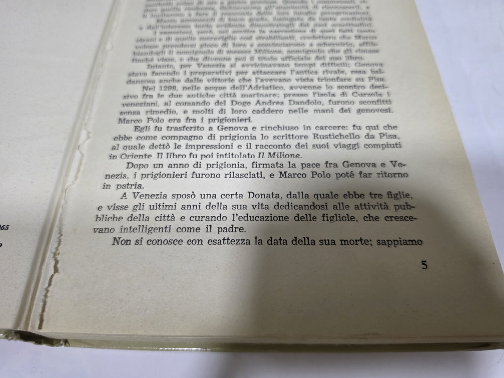 Image #10